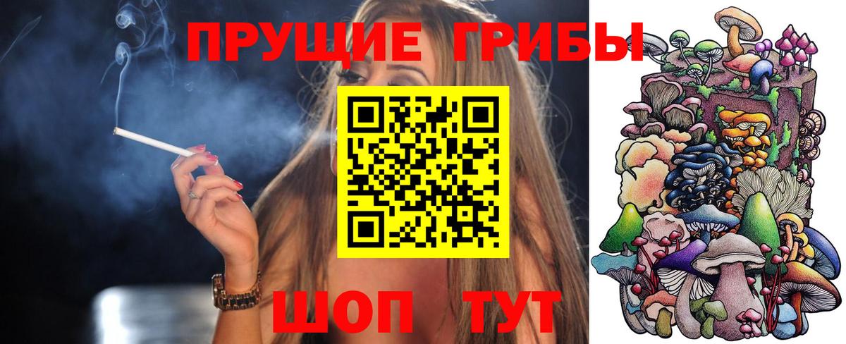 Псилоцибиновые грибы GOLDEN TEACHER  магазин  наркотиков  Красноперекопск  Вход с VPN  Псилоцибиновые грибы GOLDEN TEACHER 
